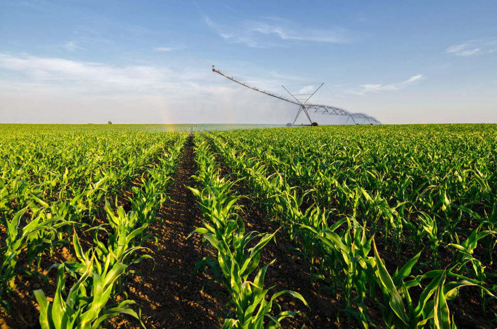 Smart AgroFert