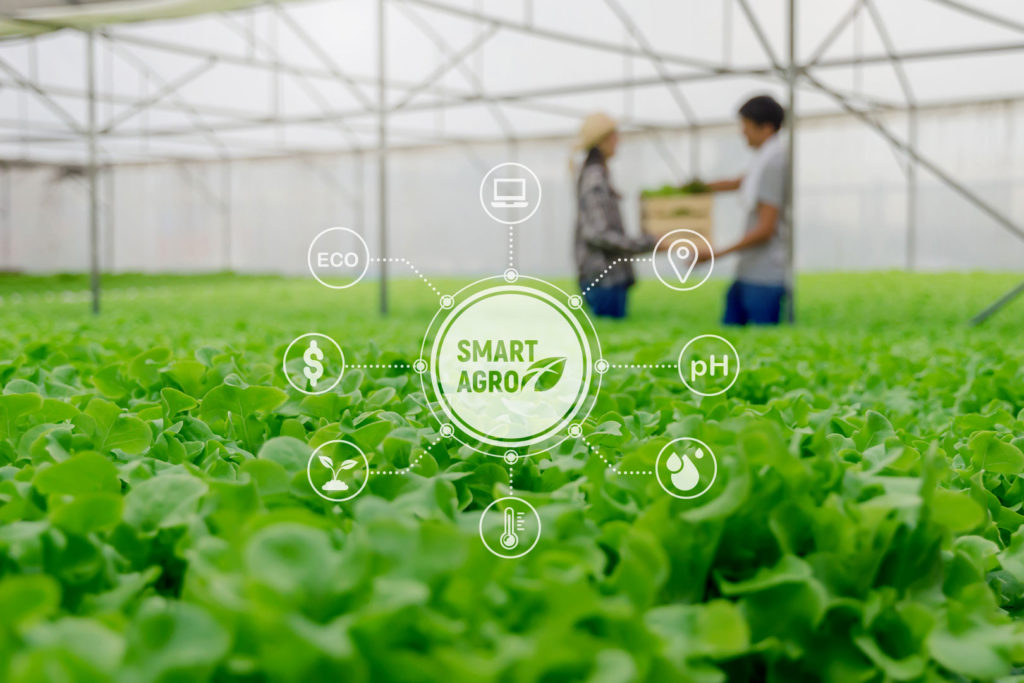 Smart AgroFert