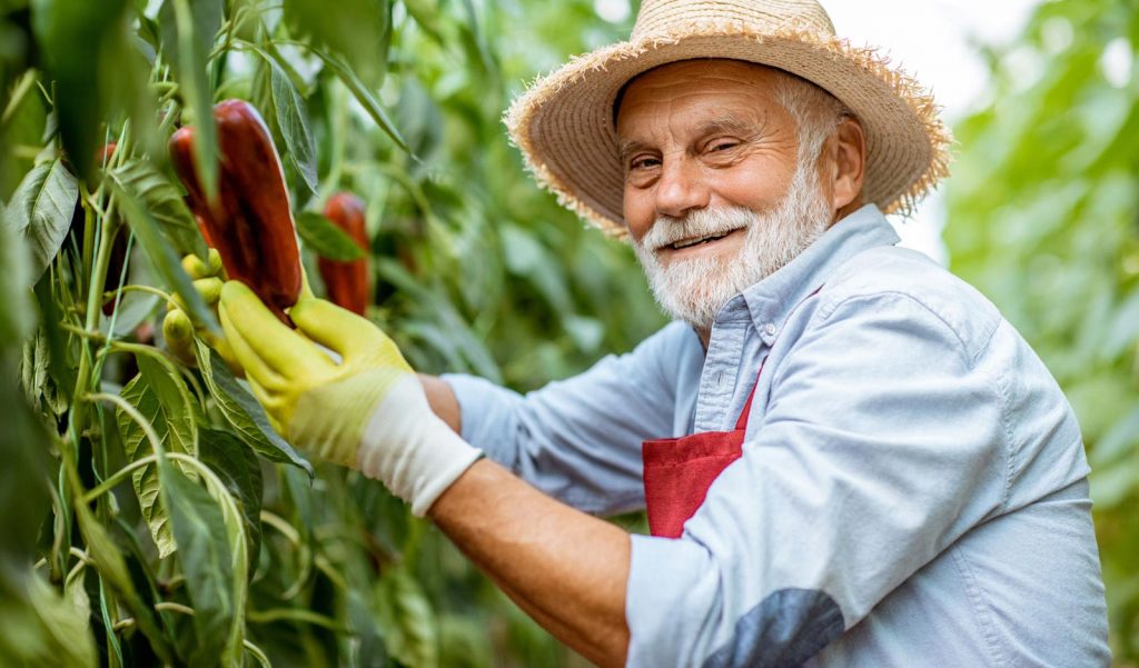 Smart AgroFert