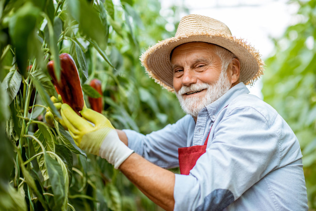 Smart AgroFert