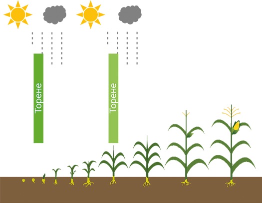 Smart AgroFert