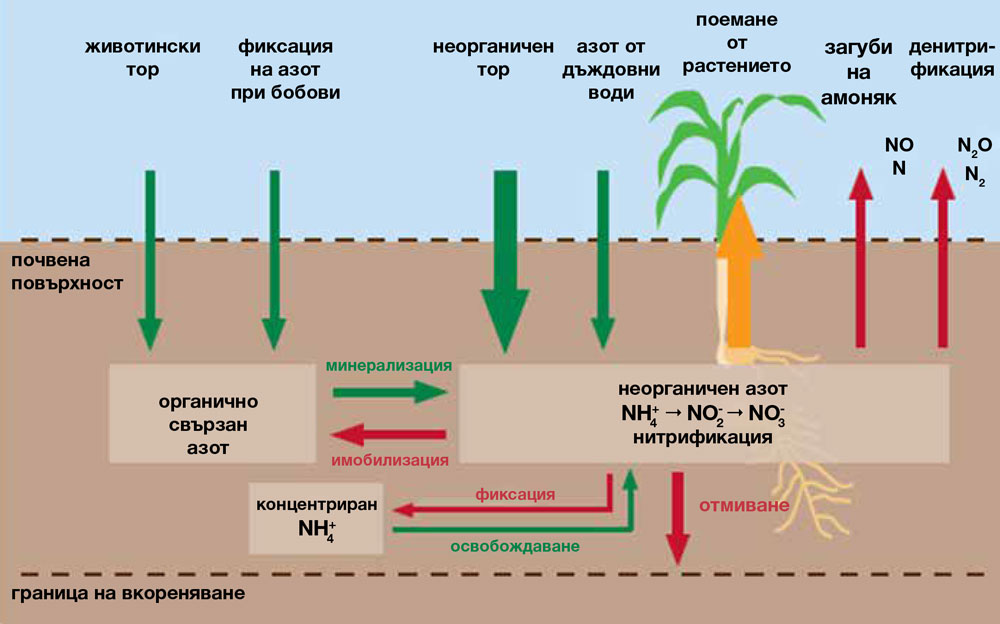 Smart AgroFert