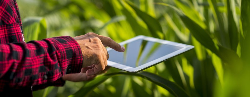 Smart AgroFert