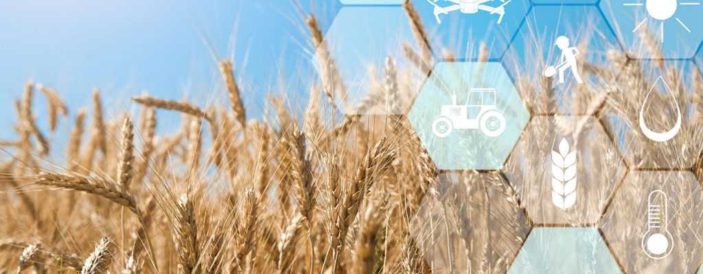 Smart AgroFert