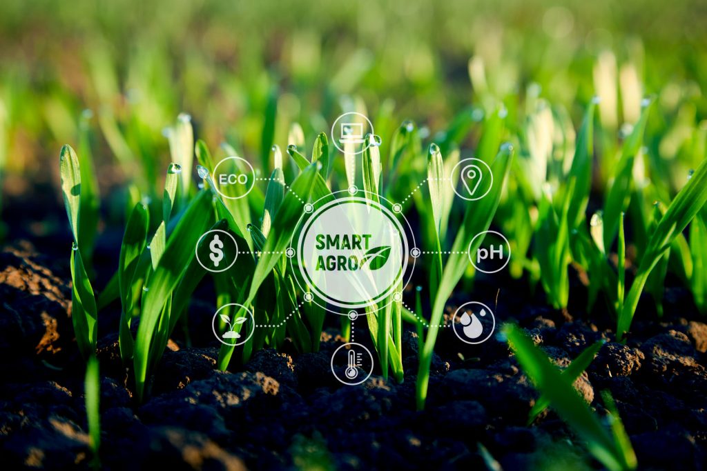 Smart AgroFert